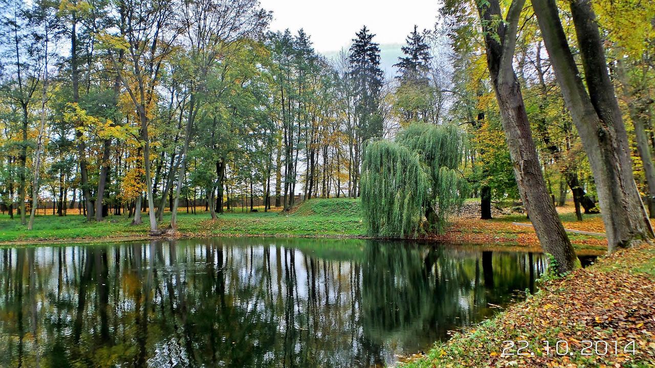 Palac Kobylin Экстерьер фото